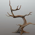 Withered Tree With Twisted Trunk Unique Branches And Natural Texture Structure 3d model