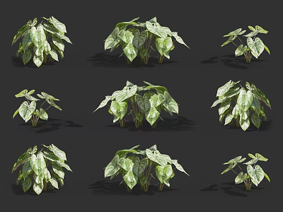 Green Leafy Plants With Lush Foliage And Various Growth Patterns For Home Decor 3d model