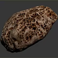 Brown Sea Sponge With Honeycomb Like Pores On Dark Background