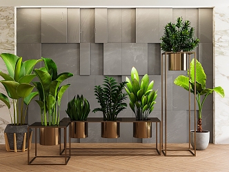 Indoor plant potted combination 3d model