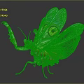 Colorful Mantis With Vibrant Wings And Eye Patterns On Black Background