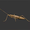 Golden Metallic Insect Sculpture With Long Antennae And Legs On Dark Background