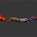 Colorful Guppies With Vibrant Red Yellow Blue Pink Colors On Dark Background