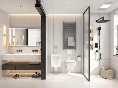 Modern Bathroom Interior Design With Vanity Mirror Toilet Urinal And Shower Area 3d model