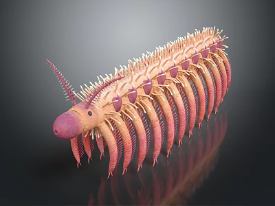 Detailed 3D Render Of Exotic Reptile With Pink Head And Orange Spiky Segmented Body 3d model