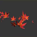 Red and Pink Autumn Leaves Floating with Reflection on Dark Background 3d model