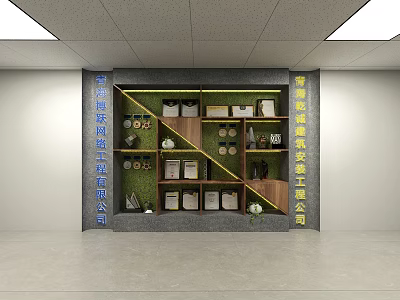 Decorative Background Wall With Shelves Potted Plants Boxes And Books 3d model