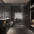 Modern Bathroom Interior Design With Glass Shower Toilet And Black Gray Marble Vanity Shelves