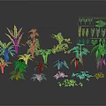 Various Green Plants With Different Leaf Types And Varied Sizes On Black Background 3d model