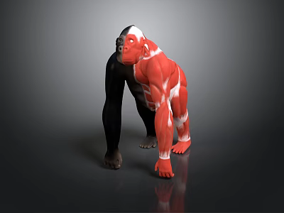 Gorilla 3D Model Displaying Muscular Organs And Black Fur Features 3d model