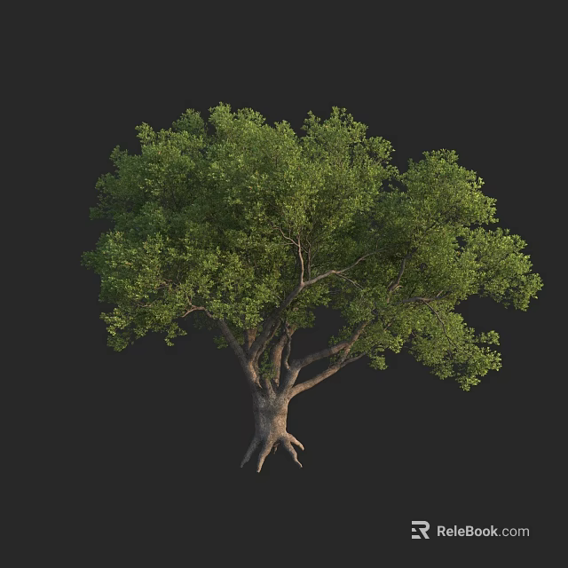 Lush Green Arbor With Thick Trunk And Dense Foliage In Natural Growth Form 3d model 