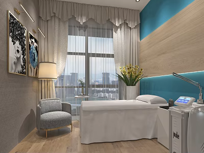 Modern Beauty Treatment Room Interior With Treatment Bed Equipment Decorative Paintings And Potted Plant 3d model