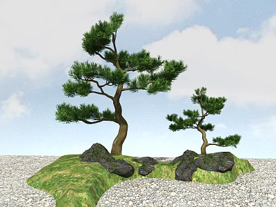 Bonsai Pine Trees with Green Grass Black Rocks Gravel and Blue Sky Background 3d model