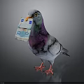 Gray White Pigeon With Purple Green Neck Holding Euro Banknote In Beak