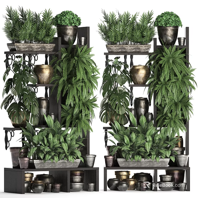 Decorative Potted Plants Display On Multi Tiered Shelves With Various Green Foliage And Clay Pots 3d model 