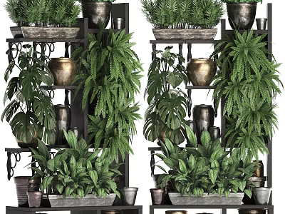 Decorative Potted Plants Display On Multi Tiered Shelves With Various Green Foliage And Clay Pots 3d model
