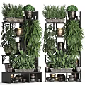 Decorative Potted Plants Display On Multi Tiered Shelves With Various Green Foliage And Clay Pots