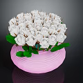 Fresh White Roses Bouquet In Pink Vase With Vibrant Green Leaves