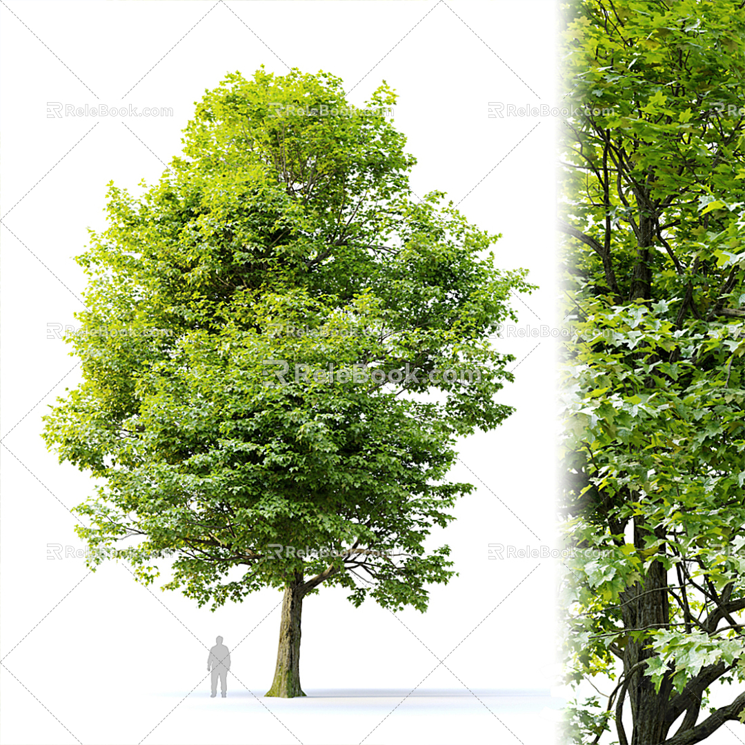 Modern Tree Trees Landscape Trees 3d model