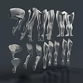 White Model 3D Figure Sculptures Showcasing Various Leg And Torso Poses