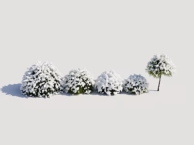 Snow Covered Bushes in a Row of Four with a Tree Beside Winter Garden Scene 3d model