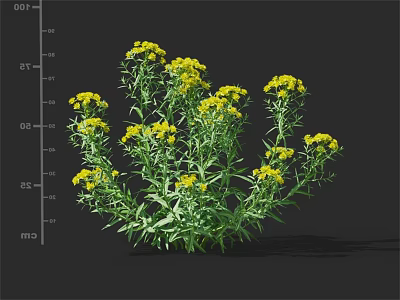 Vibrant Yellow Flowering Plant with Green Leaves and Lush Foliage 3d model