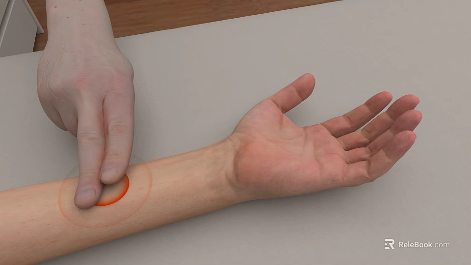Rehabilitation Center Providing Professional Wrist Treatment And Hand Therapy Services 3d model 