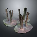 Natural Scene With Dead Tree Trunks On Circular Platforms Covered In Moss And Stones