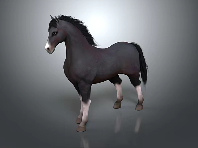 Black Horse With White Face And White Legs Standing On Gray Background 3d model