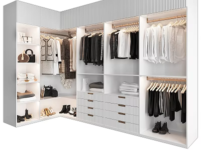 Spacious Modern Wardrobe Interior Design With Hanging Rods Drawers Shoes Storage And Folded Clothes 3d model