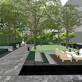Garden Landscape Design With Lush Trees Stone Pathway Lawn Area And Modern Seating