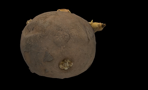 Modern potatoes 3d model