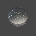 Transparent Jellyfish With White Spots And Long Tentacles On Black Background
