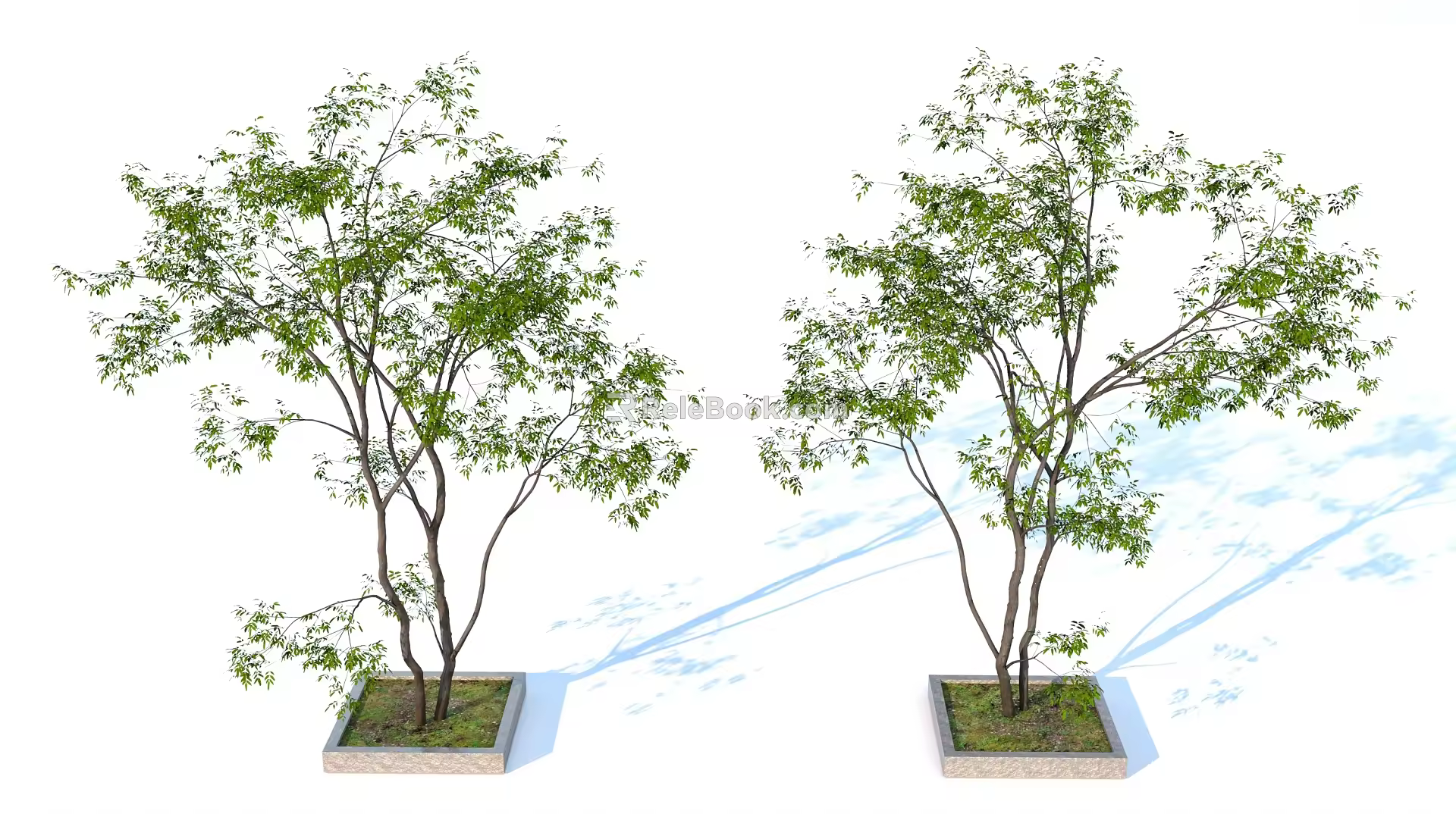 landscape tree pool green plant trees 3d model