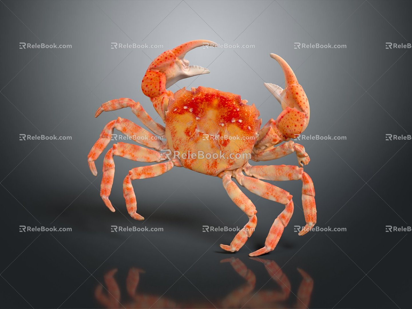 Modern Crab Sea Crab River Crab Hairy Crab 3d model