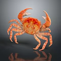 Aquatic Animal Crab With Orange Red Spotted Shell Large Claws And Long Legs