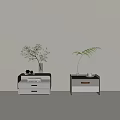 Modern Two Tone Bedside Tables With Drawers Potted Plants And Decorative Items 3d model