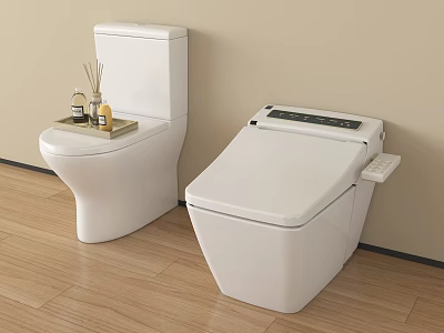 Modern Toilet and Smart Bidet Toilet with Essential Oils Tray in Bathroom 3d model