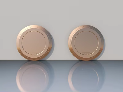 Two Copper Colored Flush Doors Mounted on Light Colored Wall with Reflective Floor 3d model