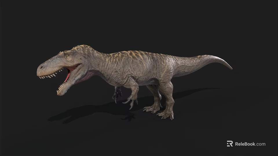 Realistic Tyrannosaurus Rex 3D Model With Open Mouth Sharp Teeth And Detailed Texture 3d model 