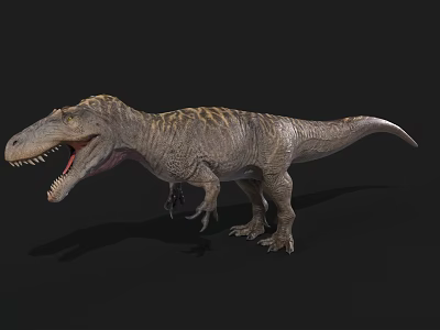 Realistic Tyrannosaurus Rex 3D Model With Open Mouth Sharp Teeth And Detailed Texture 3d model