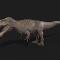 Realistic Tyrannosaurus Rex 3D Model With Open Mouth Sharp Teeth And Detailed Texture