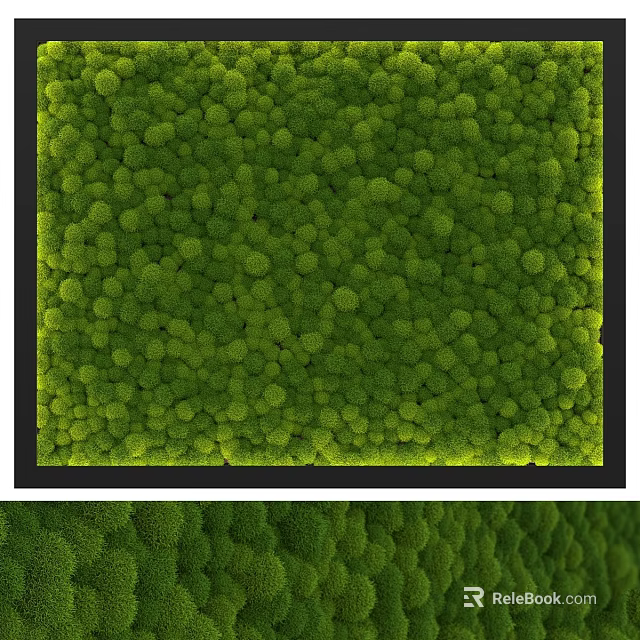 Green Moss Wall Decorative Ornament Set With Black Frame Design 3d model 