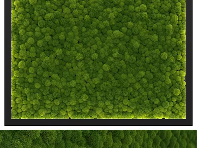 Green Moss Wall Decorative Ornament Set With Black Frame Design 3d model