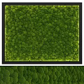 Green Moss Wall Decorative Ornament Set With Black Frame Design 3d model