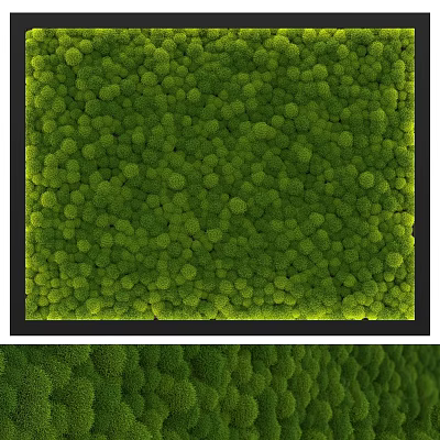 Green Moss Wall Decorative Ornament Set With Black Frame Design 3d model