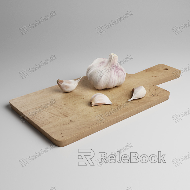 Garlic model