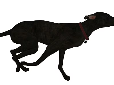 Black Dog With Red Collar Running Energetically In Open Space Scene 3d model