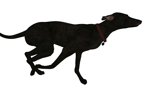 Modern Dog Animal Dog 3d model