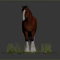 Red Horse With Black Mane Standing On Green Grass Field With White Hooves